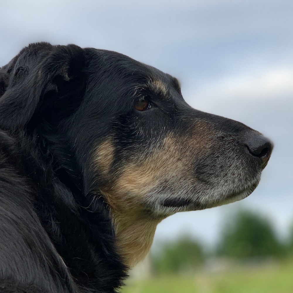 Meet your Posher, Brandy